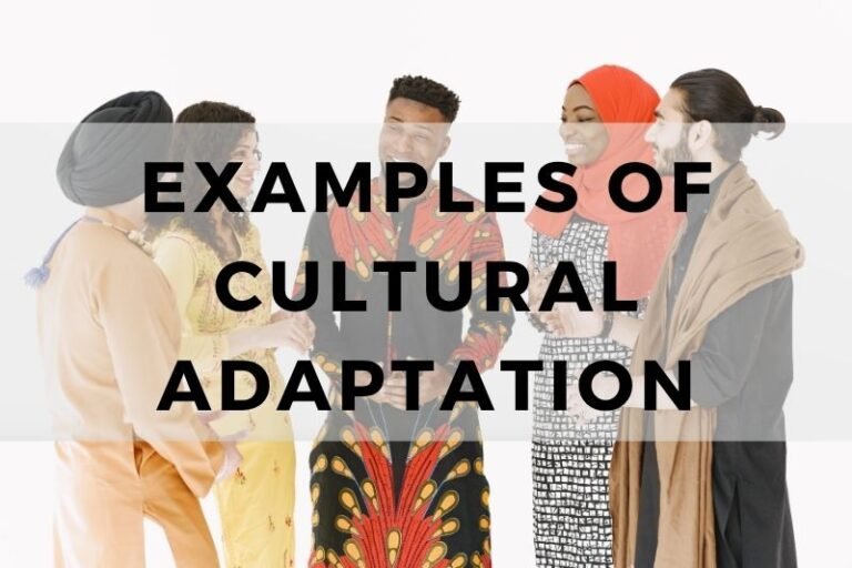 Examples Of Cultural Adaptation